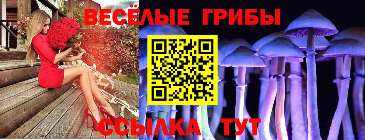 Псилоцибиновые грибы мухоморы  Псилоцибиновые грибы Psilocybe  Грязи  Вход с VPN 